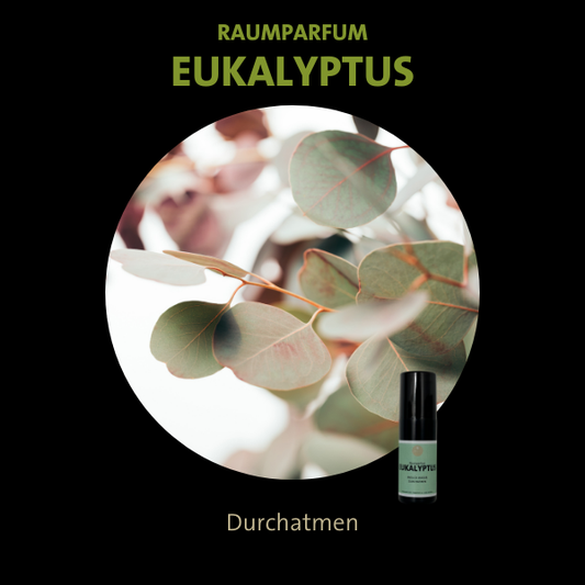 Raumparfum Eukalyptus