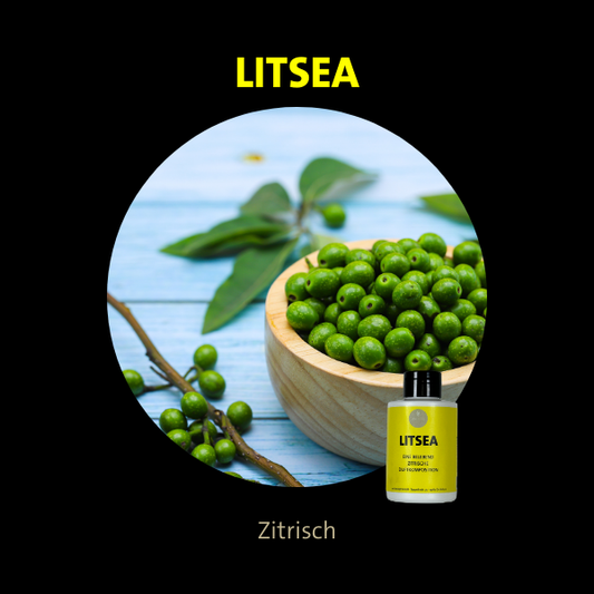Litsea