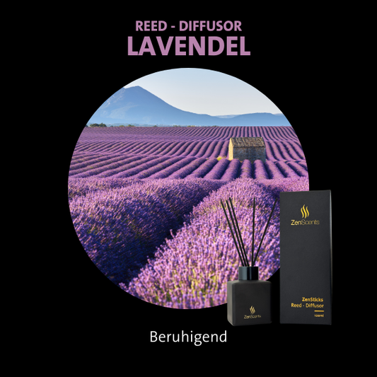 Lavendel