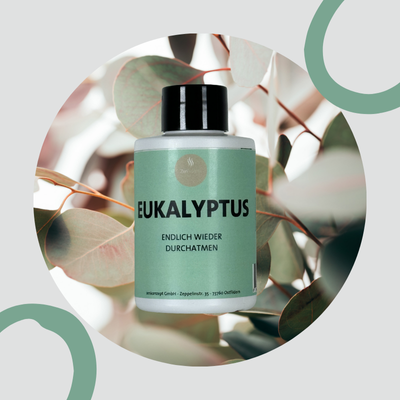 Eukalyptus