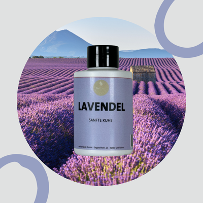 Lavendel